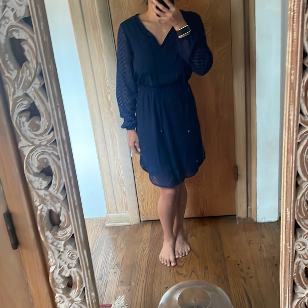 Daniel Rainn Navy Dress